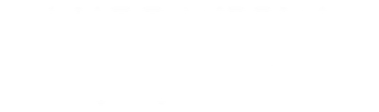Villacoin Logo